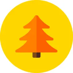 Pine