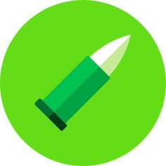 Bullet