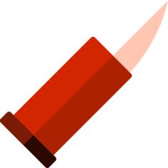 Bullet