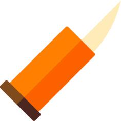 Bullet