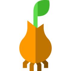 Root