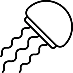 Jellyfish