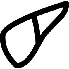 Liver