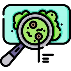 Virus
