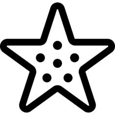 海星