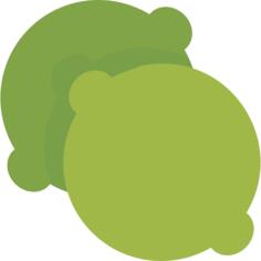 酸橙