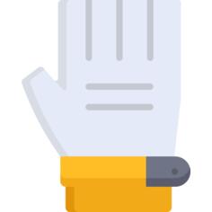 Glove