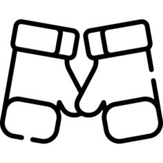 Boxing gloves