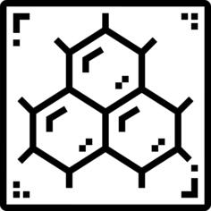 分子