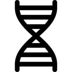 Dna