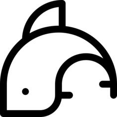 海豚