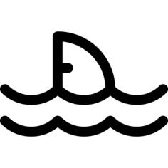 Shark