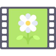 Frame