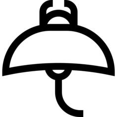 Manta ray