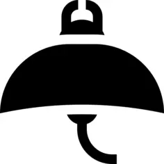 Manta ray