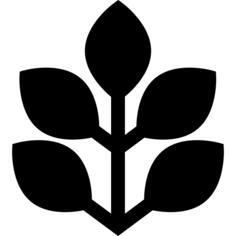 Spinach