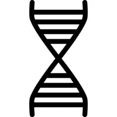 Dna