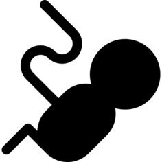 Fetus