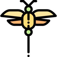 Dragon fly