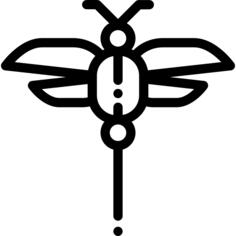 Dragon fly