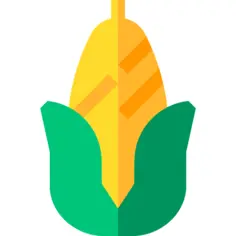Corn