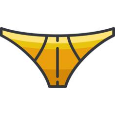 衩