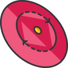 Disc