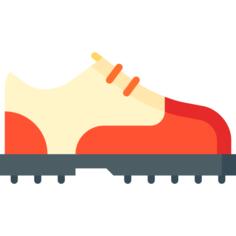 Shoe