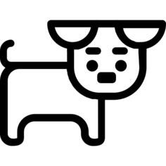 Puppy