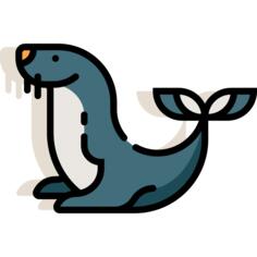 海狮