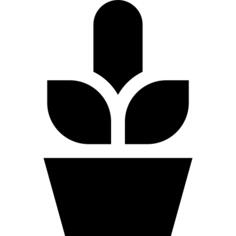 仙人掌