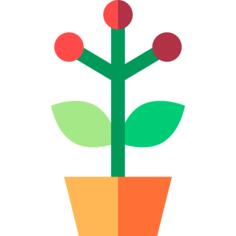 花盆