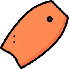 Bodyboard