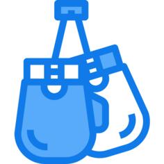 Boxing gloves