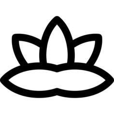 Water lily