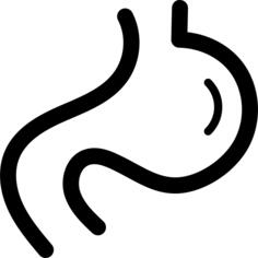 Stomach