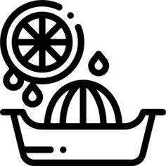 Juicer
