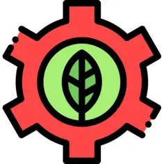 Development