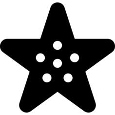 海星