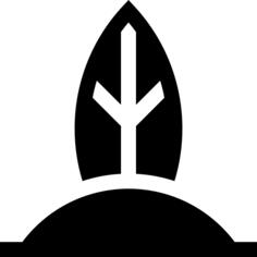 冲浪
