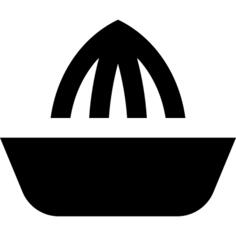 Juicer