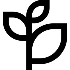 Branch