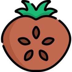 Sapote