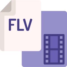 Flv file