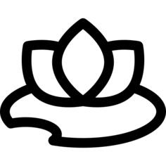Water lily