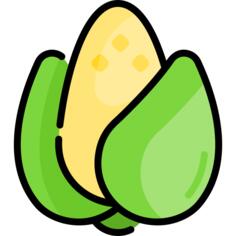 Corn
