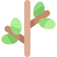 Branch