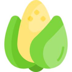 Corn