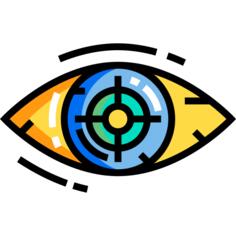 Vision