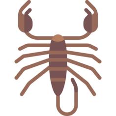 蝎